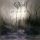 OPETH: Blackwater Park (Reissue) (CD)