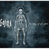 GOJIRA: The Way Of All Flesh (CD)