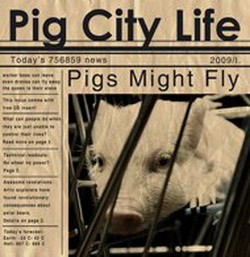 PIGS MIGHT FLY: Pig City Life (CD)