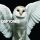 DEFTONES: Diamond Eyes (CD)