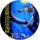 IRON MAIDEN: Fear Of The Dark (badge, 2,5 cm)