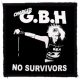 GBH: No Survivors (95x95) (felvarró)