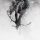 LINKIN PARK: The Hunting Party (CD)