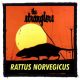 STRANGLERS: Rattus Norvegicus (95x95) (felvarró)