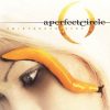 A PERFECT CIRCLE: Thirteenth Step (2LP) A PERFECT CIRCLE: Thirteenth Step (2LP)
