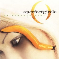 A PERFECT CIRCLE: Thirteenth Step (2LP)