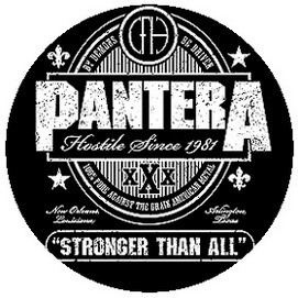 PANTERA: Stronger Than All (jelvény, 2,5 cm)