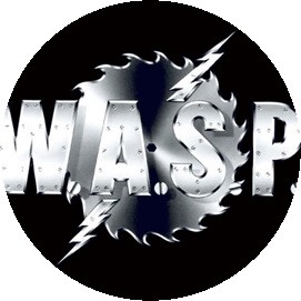 WASP: Logo (jelvény, 2,5 cm)