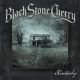 BLACK STONE CHERRY: Kentucky (CD)