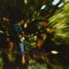 CREEDENCE CLEARWATER R: Bayou Country (LP, 180 gr) CREEDENCE CLEARWATER R: Bayou Country (LP, 180 gr)