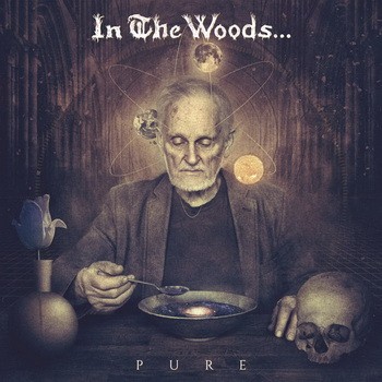 IN THE WOODS: Pure (digipack) (CD)