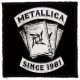 METALLICA: Since 1981 (95x95) (felvarró)