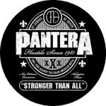 PANTERA: Stronger Than All (nagy jelvény, 3,7 cm)