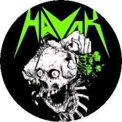 HAVOK: Skull (badge, 2,5 cm)