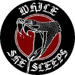 WHILE SHE SLEEPS: Snake (badge, 2,5 cm)