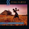 PINK FLOYD: A Collection Of Great Dance Songs (LP, 180 gr) PINK FLOYD: A Collection Of Great Dance Songs (LP, 180 gr)