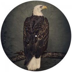 CLUTCH: Book Of Bad Descisions (2LP, picture disc, ltd.)