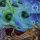 INTRONAUT: Fluid Existential (CD)