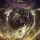 PESTILENCE: Exitivm (CD, box set)