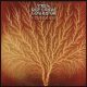 VAN DER GRAAF GENERATOR: Still Life (2CD+DVD)