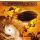 TRANSATLANTIC: The Whirlwind (CD)