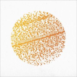 GATHERING: Beautiful Distortion (CD)