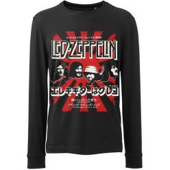   LED ZEPPELIN: Japanese Burst Longsleeve (hosszúujjú póló)