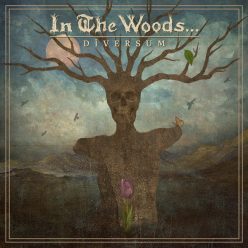 IN THE WOODS…: Diversum (CD)