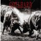 GOTTHARD: #13 (CD)