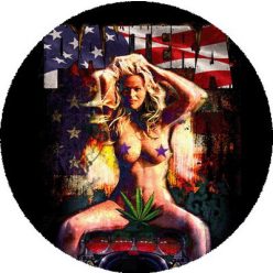 PANTERA: Hesher's Dream (nagy jelvény, 3,7 cm) 