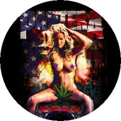 PANTERA: Hesher's Dream (jelvény, 2,5 cm) 