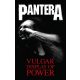 PANTERA: Vulgar Display Of Power (zászló, 65x106 cm)