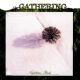 GATHERING: Nighttime Birds (CD)