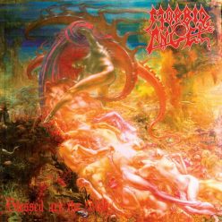 MORBID ANGEL: Blessed Are The Sick (CD)