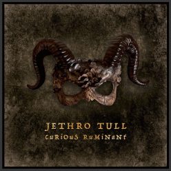 JETHRO TULL: Curious Ruminant (CD)