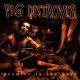 PIG DESTROYER: Prowler In The Yard (CD)