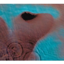 PINK FLOYD: Meddle (CD)