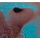 PINK FLOYD: Meddle (CD)
