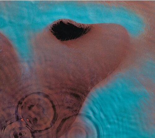 PINK FLOYD: Meddle (CD)