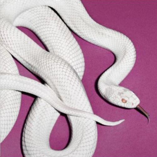 DEFTONES: Private Music (CD)