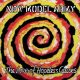 NEW MODEL ARMY: The Love Of  Hopeless Causes (LP)