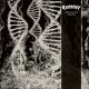 CORONER: Dissonance Theory (CD)