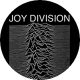 JOY DIVISION: Unknown Pleasures (jelvény, 2,5 cm) 