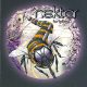 NEKTAR: Fortyfied (2CD)