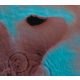 PINK FLOYD: Meddle (LP)