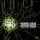 LAMB OF GOD: Into Oblivion (LP)