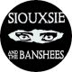 SIOUXSIE AND THE BANSHEES: Eyes (nagy jelvény, 3,7 cm) 